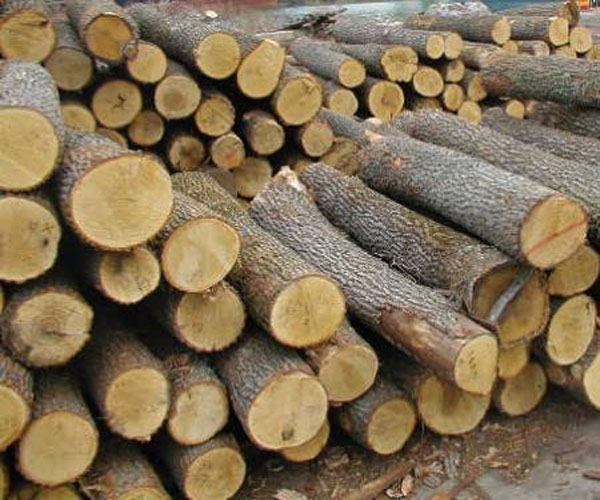 Chính sách thuế GTGT đối với sản phẩm gỗ