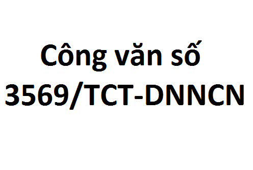 Công văn số 3569/TCT-DNNCN
