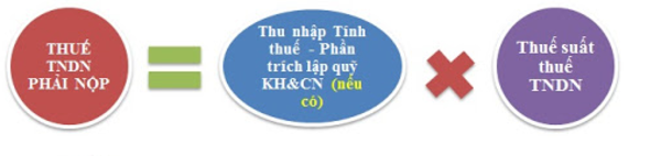 Chinh-sach-xac-dinh-thue-TNDN-can-nam